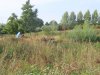 IMG_2751