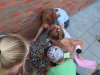 IMG_2775