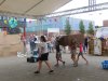 IMG_3092